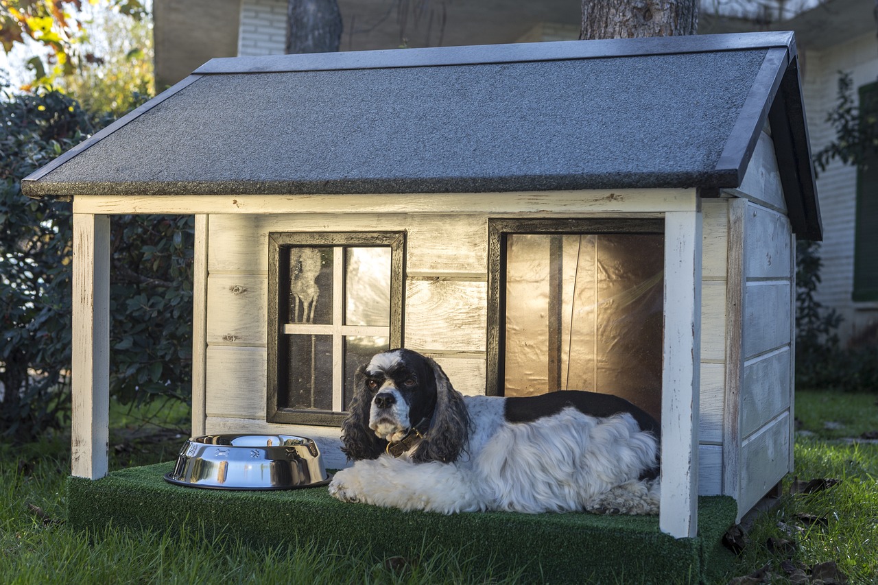 dog houses, wooden houses for dogs, kennels for pets-3821847.jpg
